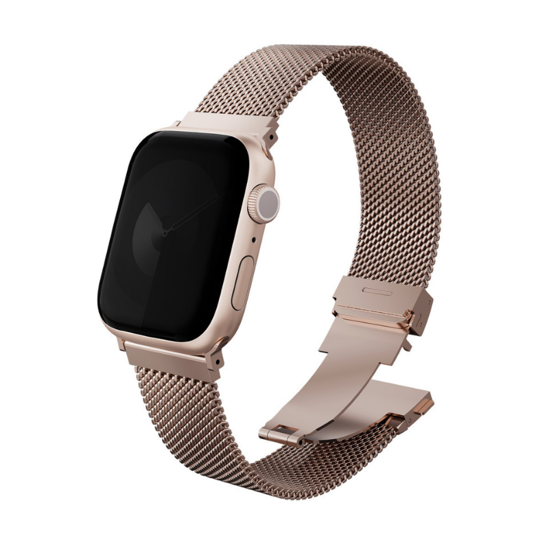 Apple Watch Dante Pro Çelik Örgü Kordon